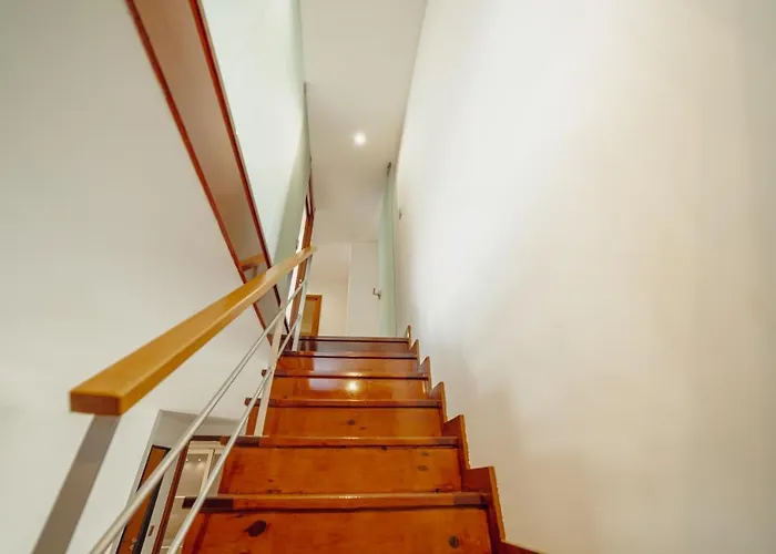 Guest Oliveira House *