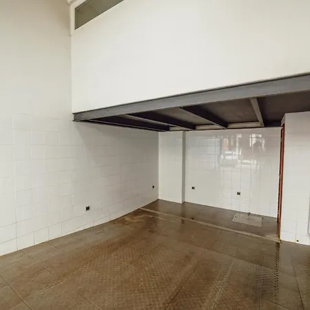 Villa Guest Oliveira House