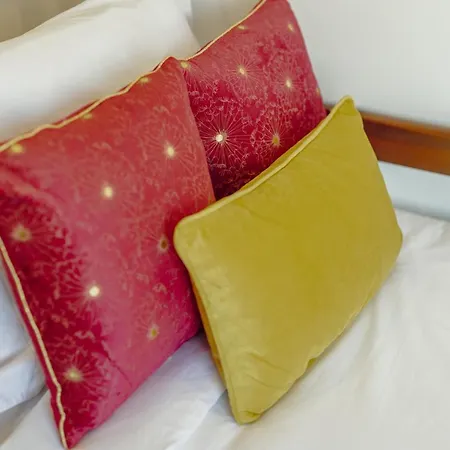 Guest Oliveira House *