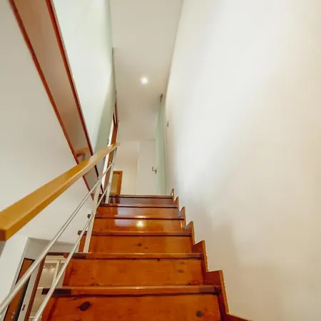 Guest Oliveira House *